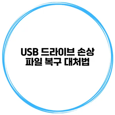 USB 드라이브 손상 파일 복구 대처법