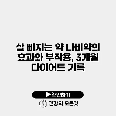살 빠지는 약 나비약의 효과와 부작용, 3개월 다이어트 기록