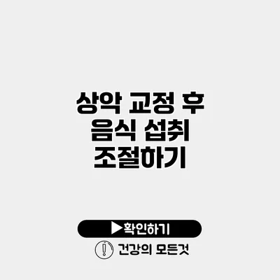 상악 교정 후 음식 섭취 조절하기