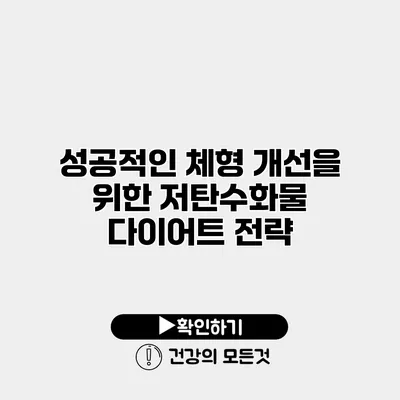 성공적인 체형 개선을 위한 저탄수화물 다이어트 전략