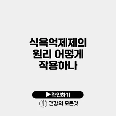 식욕억제제의 원리 어떻게 작용하나?