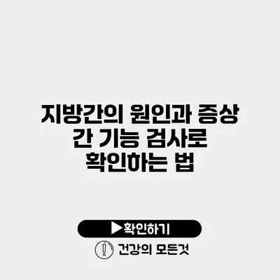 지방간의 원인과 증상 간 기능 검사로 확인하는 법