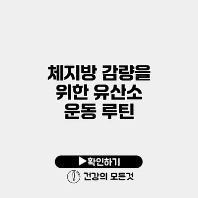 체지방 감량을 위한 유산소 운동 루틴