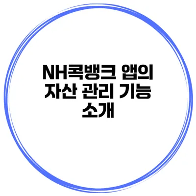 NH콕뱅크 앱의 자산 관리 기능 소개