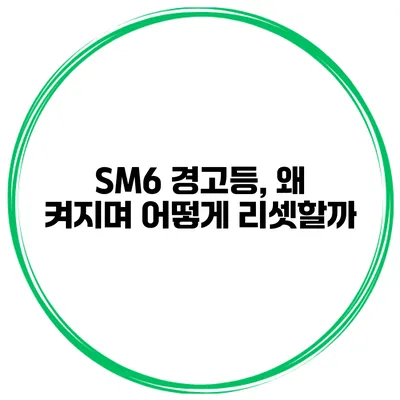SM6 경고등, 왜 켜지며 어떻게 리셋할까?
