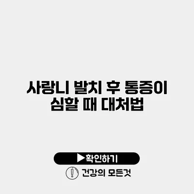 사랑니 발치 후 통증이 심할 때 대처법