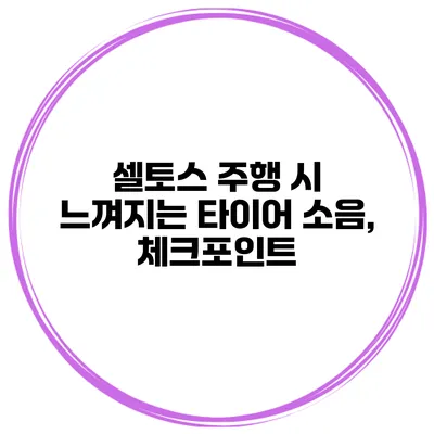 셀토스 주행 시 느껴지는 타이어 소음, 체크포인트