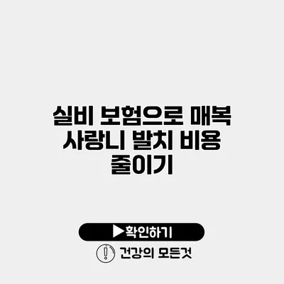 실비 보험으로 매복 사랑니 발치 비용 줄이기