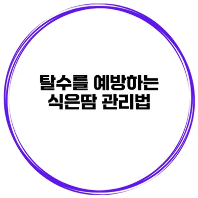 탈수를 예방하는 식은땀 관리법